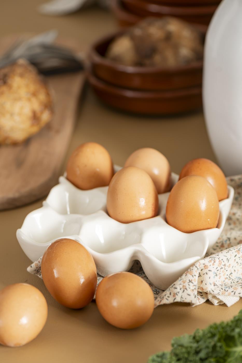 Porte-oeufs pour 9 oeufs