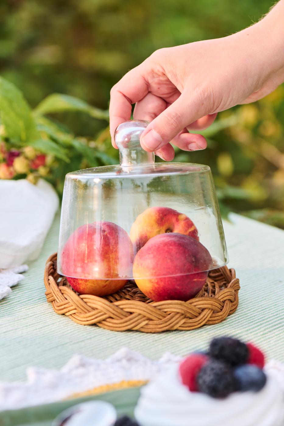 Couvercle en verre avec base en rotin soufflé à la main