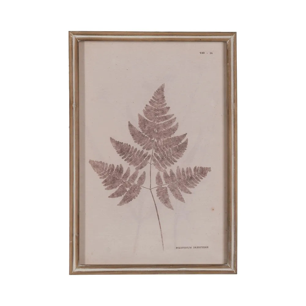 Cadre image feuille fougère 1