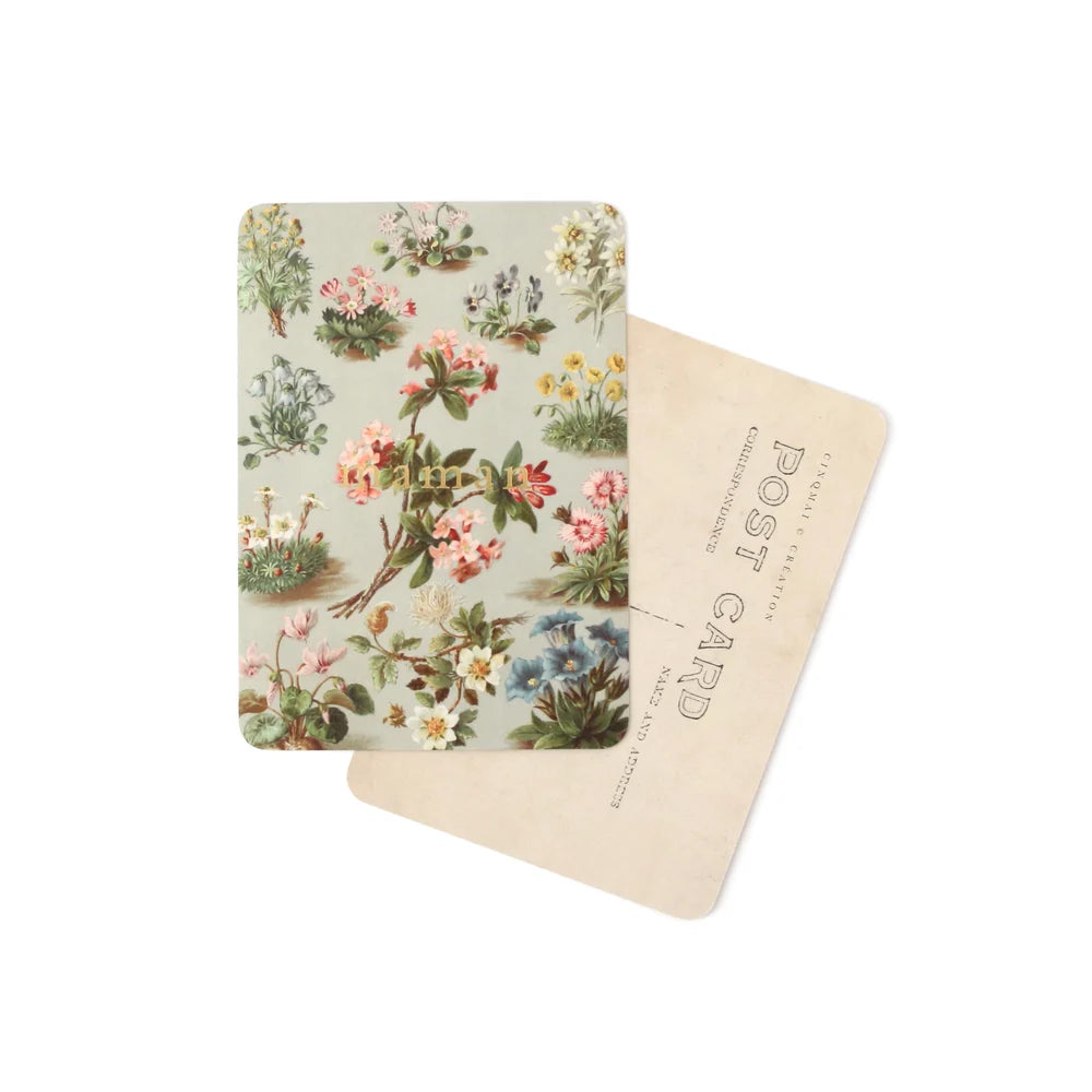 Carte Postale MAMAN / DORÉ / ALBERTINE