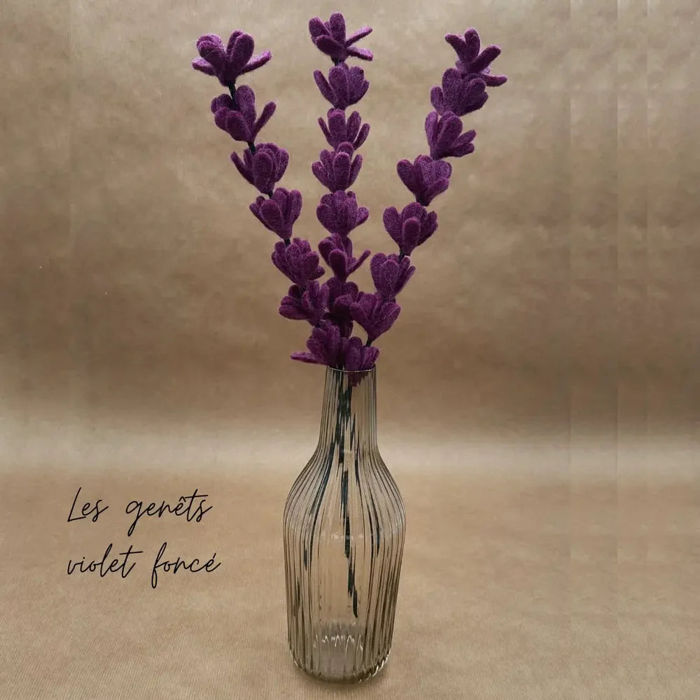 Branche de genêt violet clair