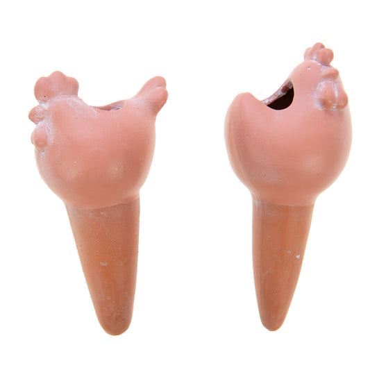 Carotte arrosage poule