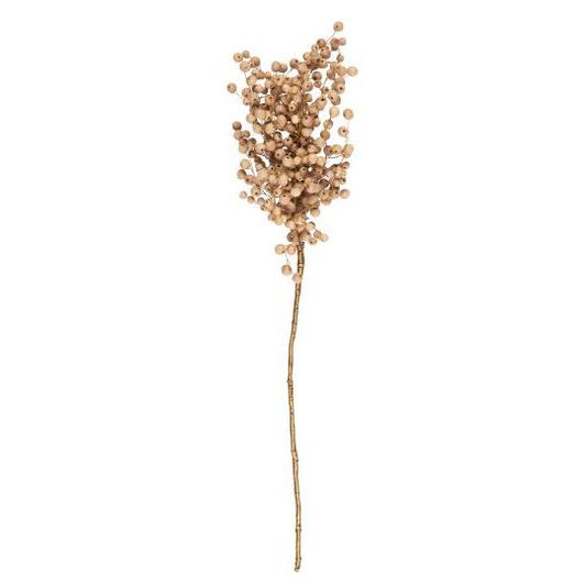 Branche perle de bois