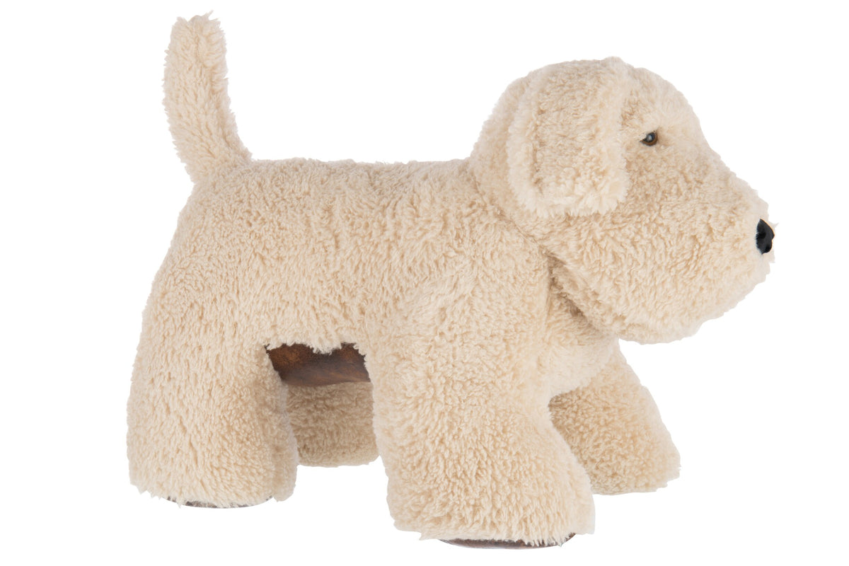 Chien beige deco chambre