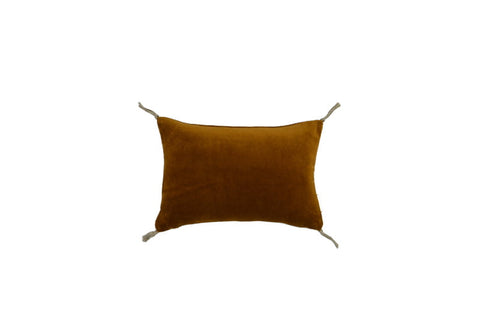 HOUSSE COUSSIN - 20x30 - VELOURS - Or