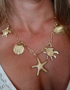 Collier coquillages