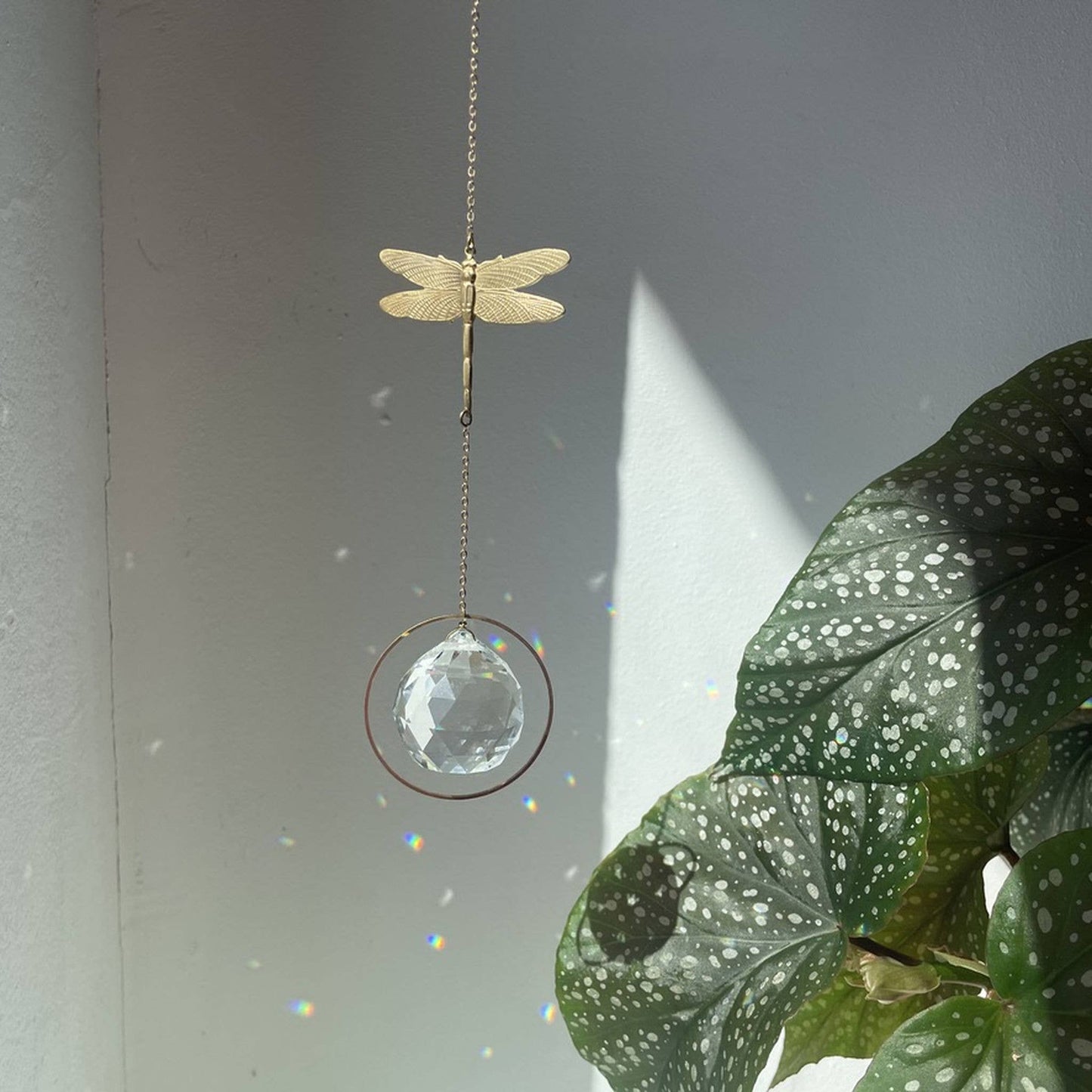 Attrape-soleil libellule, capteur de lumière, cristal solaire, prisme