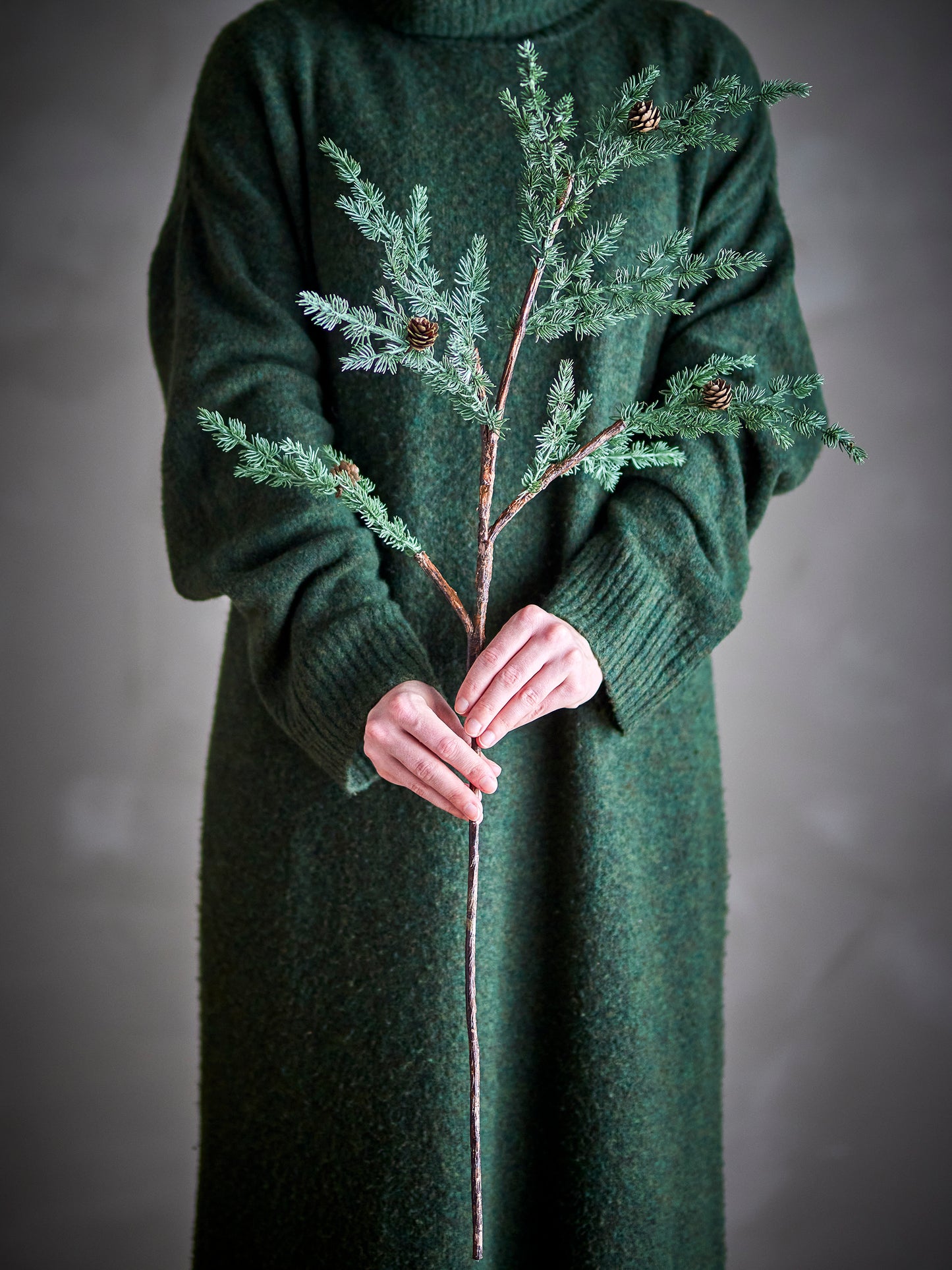 La Tige Pine de Bloomingville