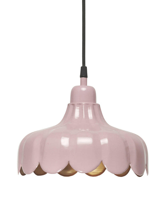Suspension Wells rose