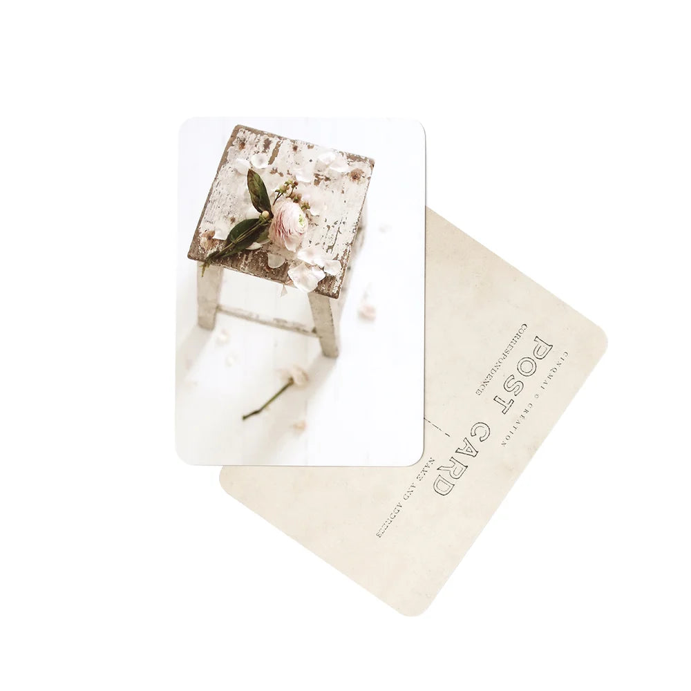 Carte Postale RENONCULE / BERTILLE