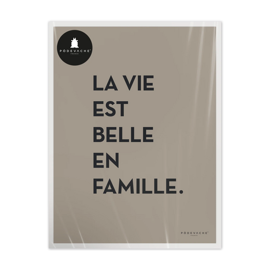 Affiche la vie est belle en famille
