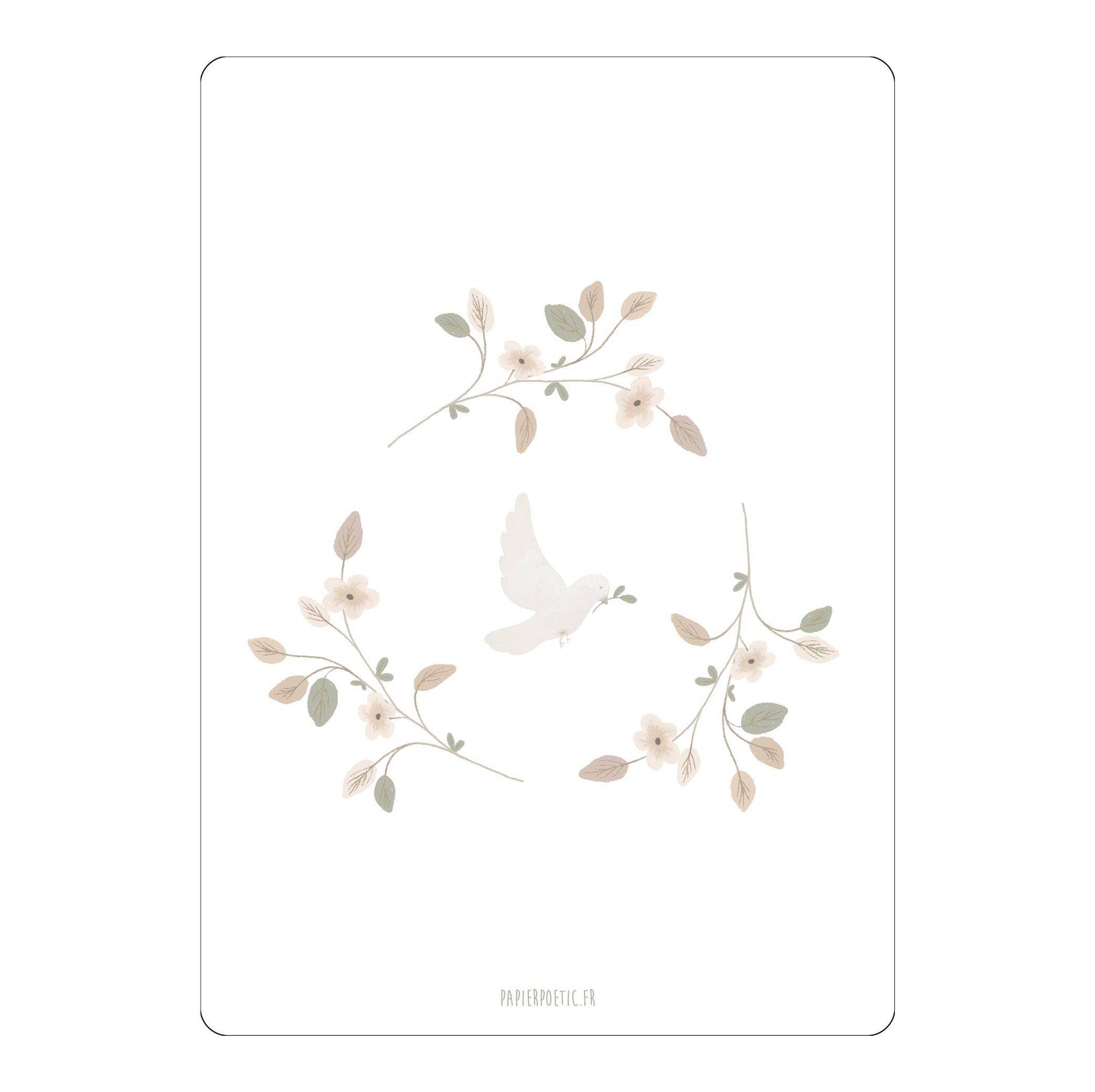 Carte Postale / Card "Colombe"