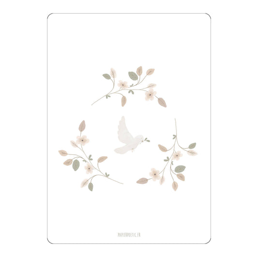 Carte Postale / Card "Colombe"