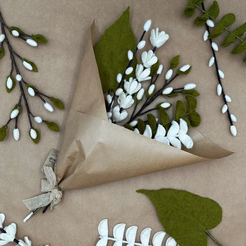 Branche de genêt blanche