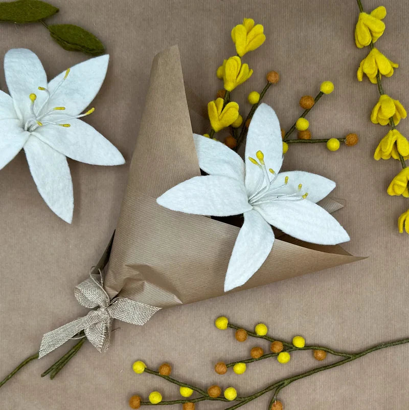 Branche de genêt jaune