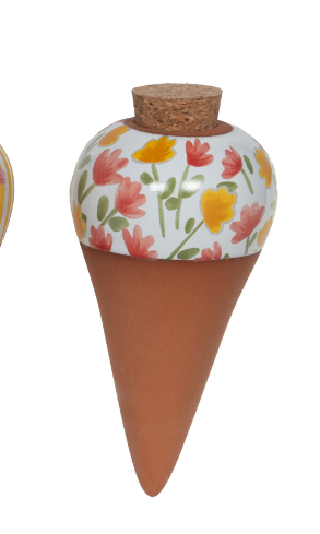 Carotte arrosage Louise fleurs