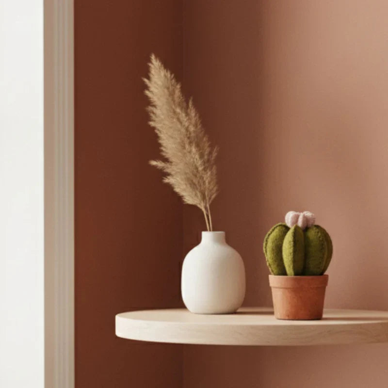 Cactus fleur en pot New Heidi