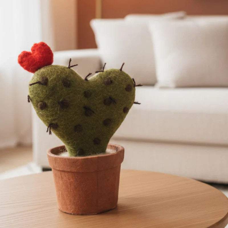 cactus cœur en pot New Heidi