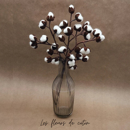 Branche fleur de coton