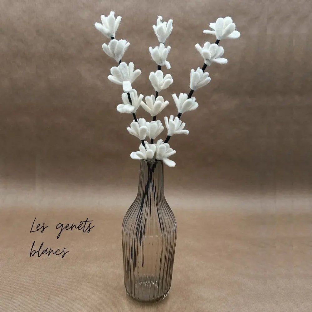 Branche de genêt blanche