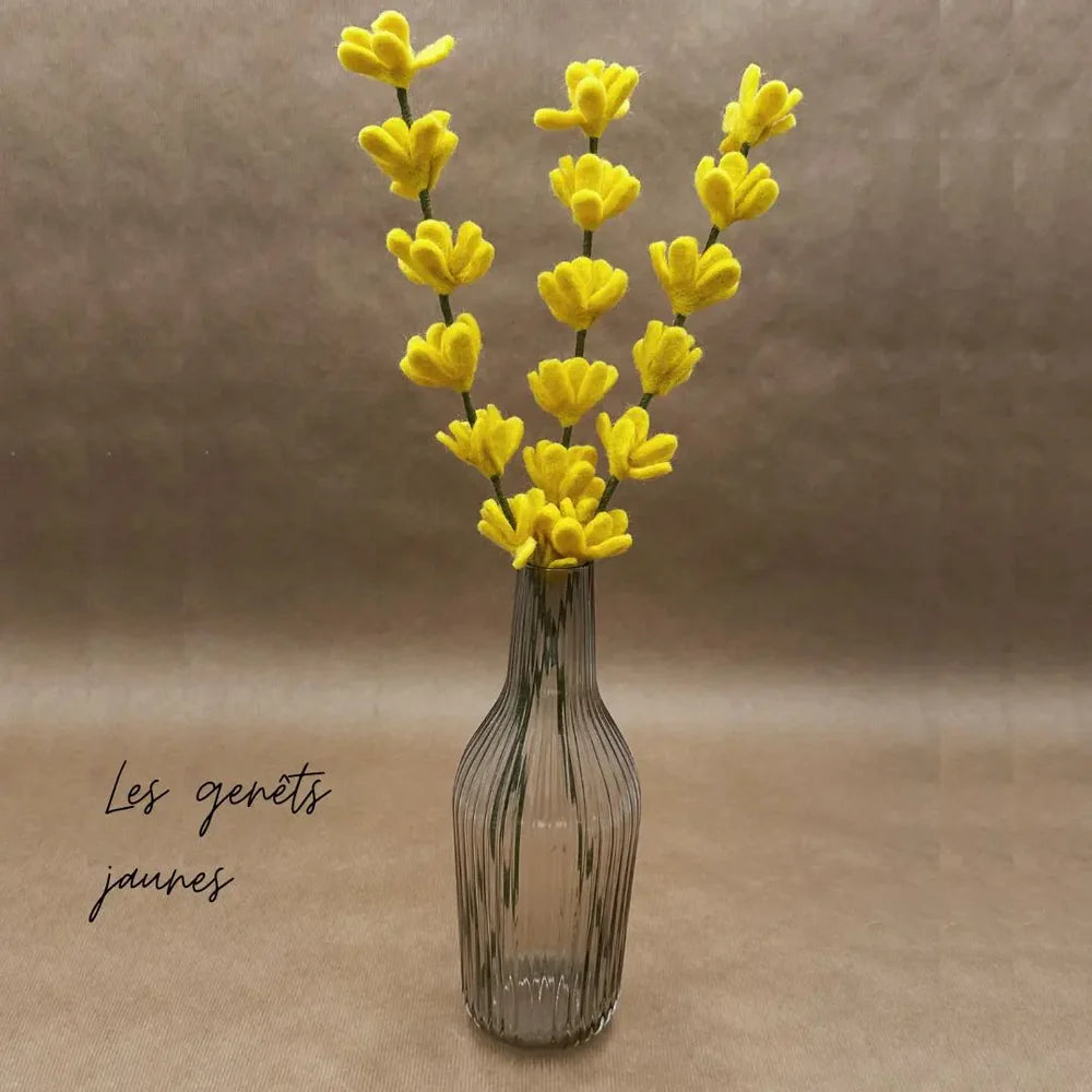 Branche de genêt jaune