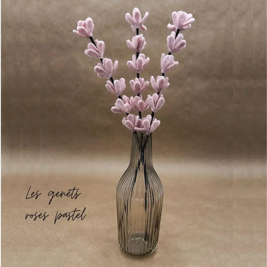 Branche de genêt rose pale