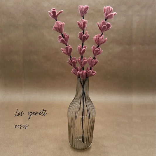 Branche de genêt vieux rose