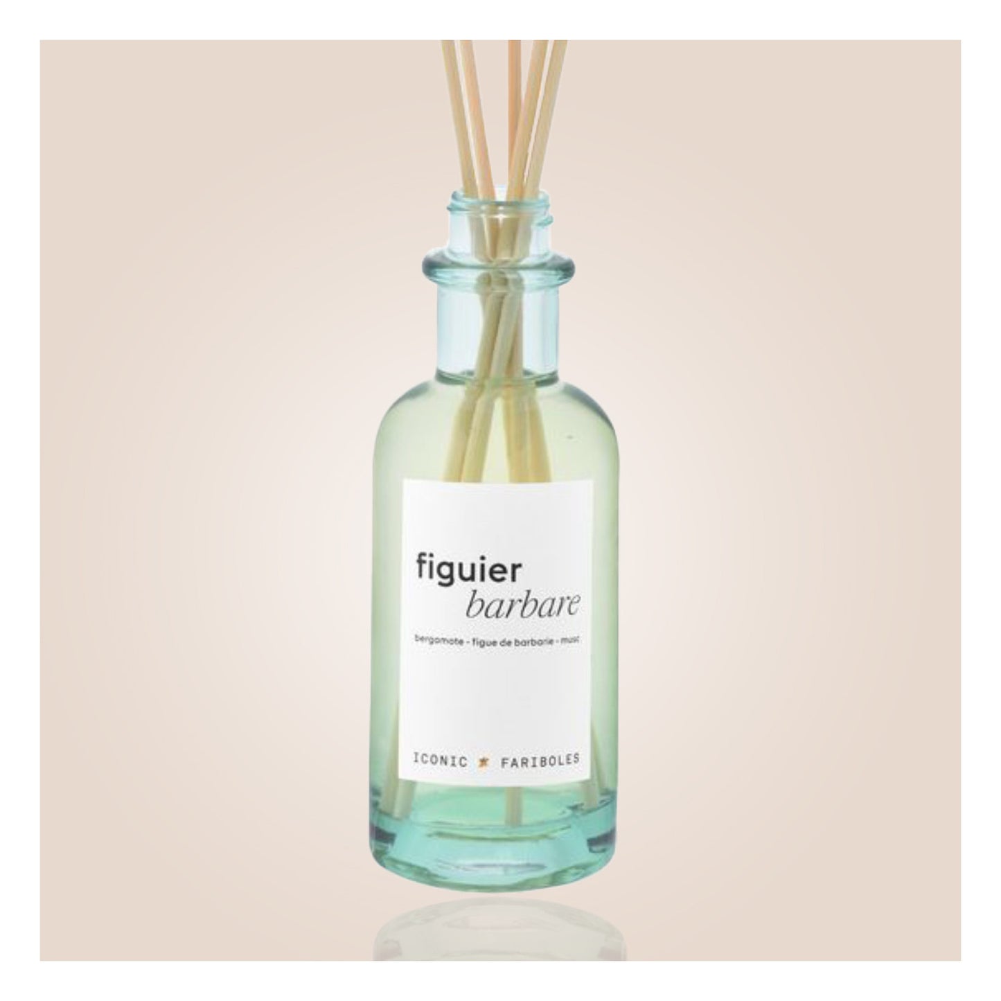 Mikado Iconic Figuier Barbare