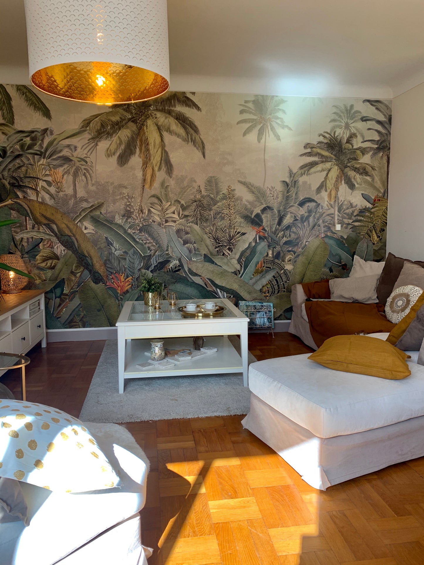 SALON AMAZONIA AVANT/APRES